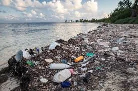 Why Ban Single Use Plastics?