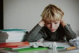 Why Ban Homework