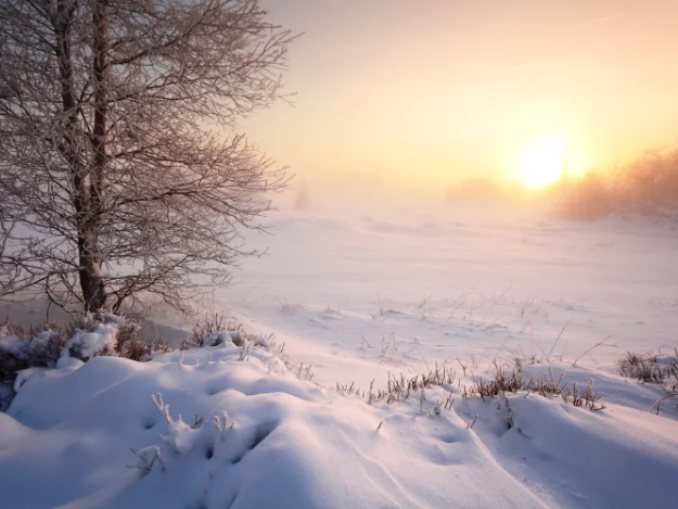 A Winter Solstice Celebration